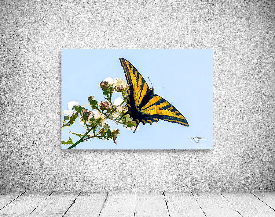 Swallowtail Wall Preview