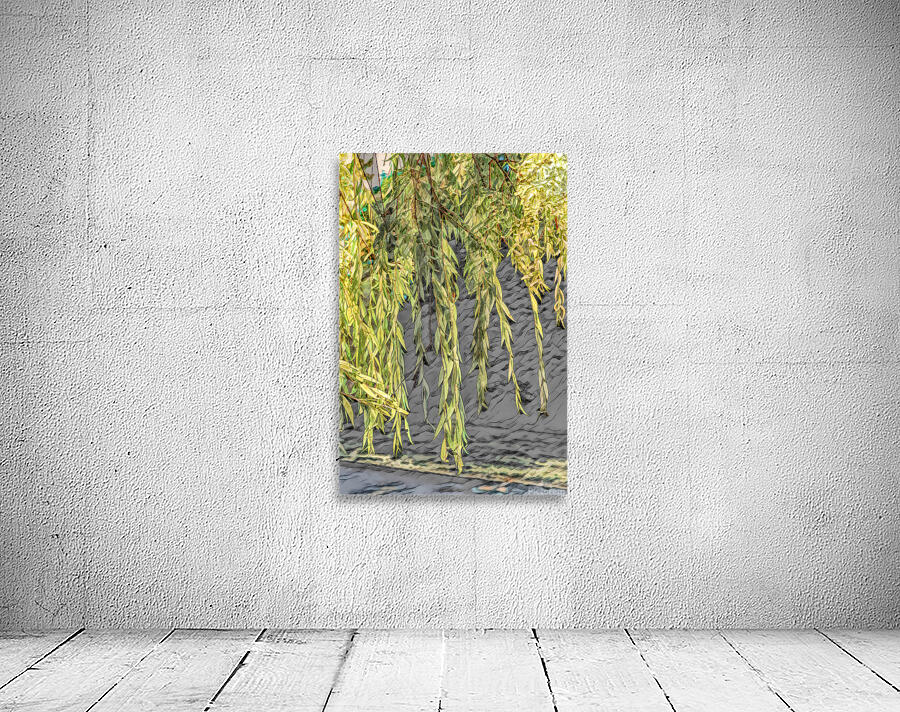 Tall Willow Cries Wall Preview