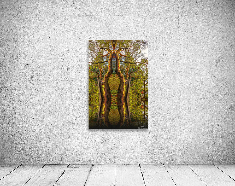 Twin Dancers Wall Preview
