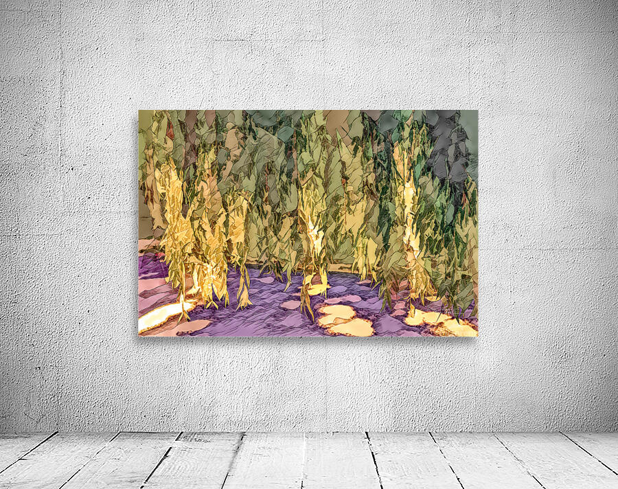 Wide Willow Weeps Wall Preview