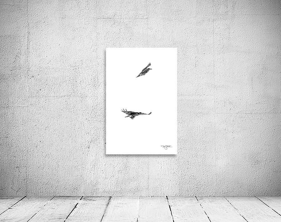 When Fish Fly Wall Preview