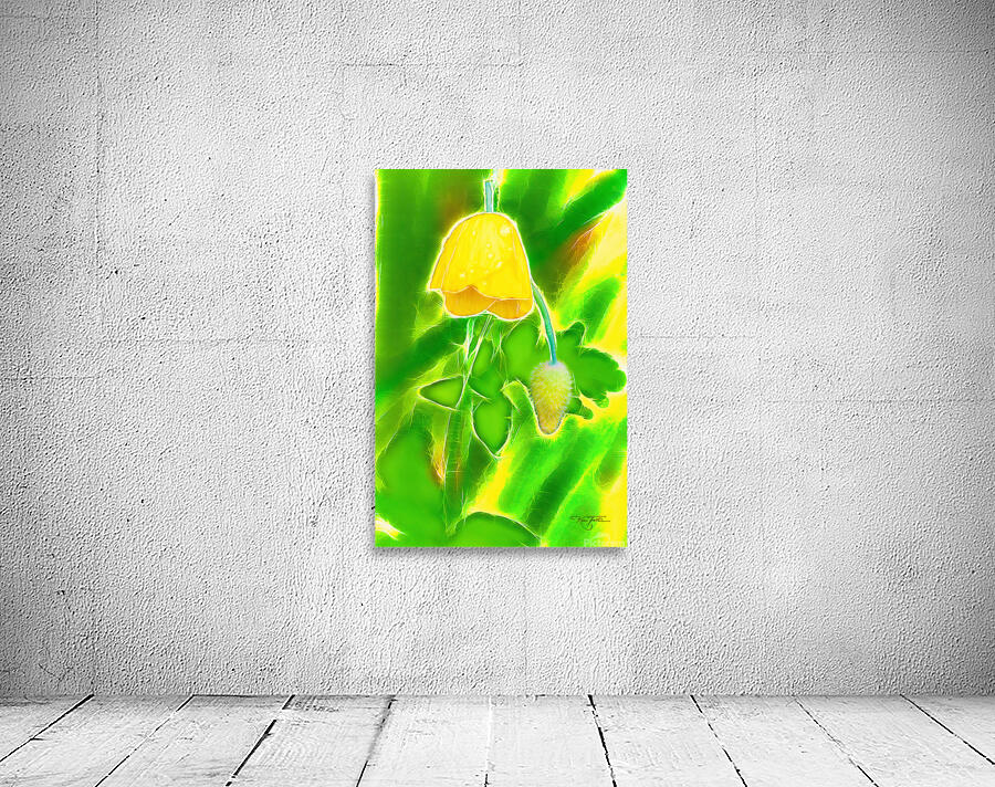 Yellow Poppy Wall Preview