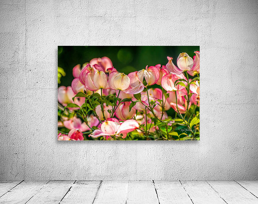 A Few Blossoms Wall Preview