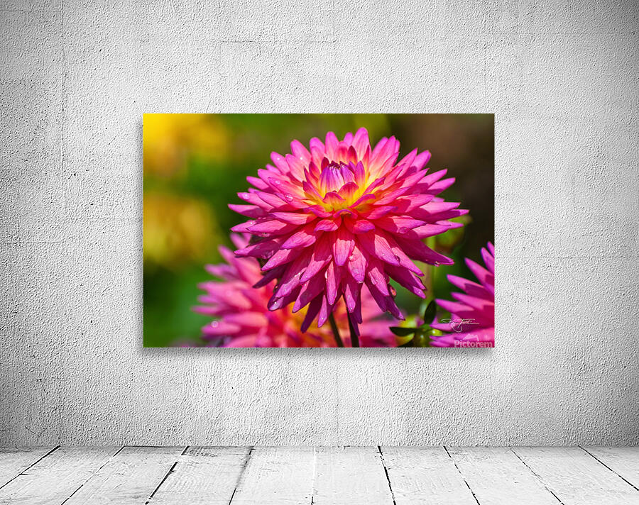 Au Naturel Wall Preview