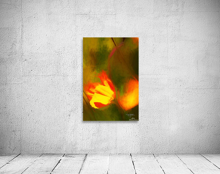 Chalk Poppy Wall Preview