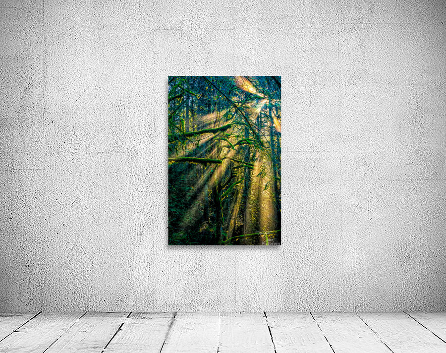 Celebrating Life Wall Preview