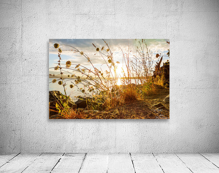 Coastal Trail Wall Preview