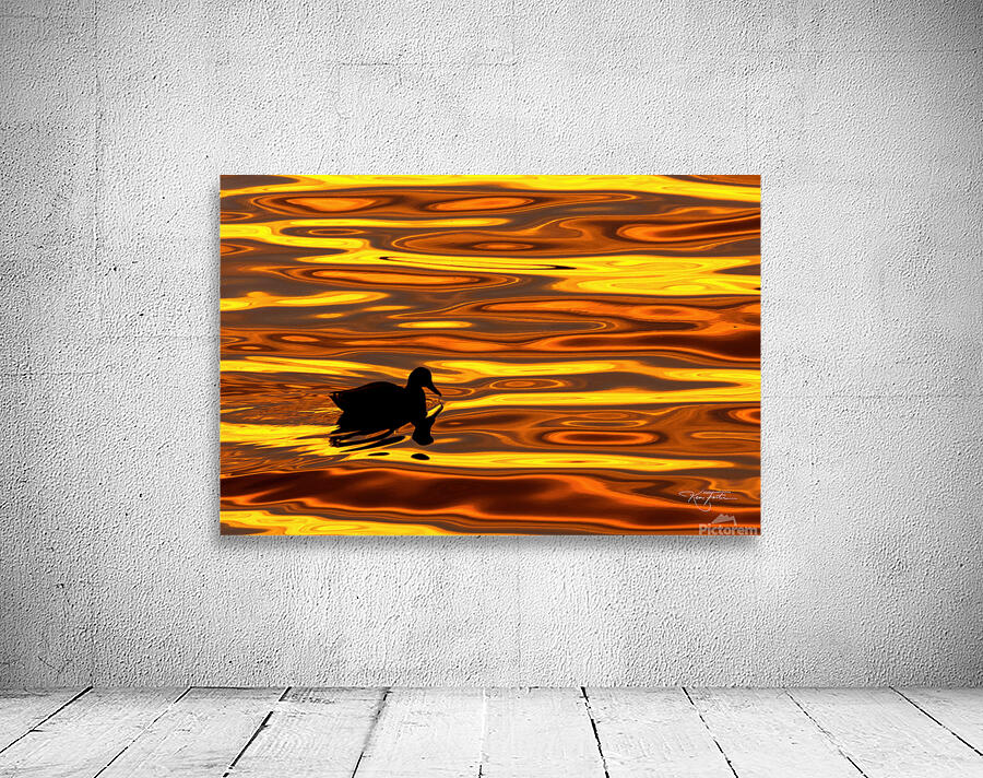 Duck l orange Wall Preview