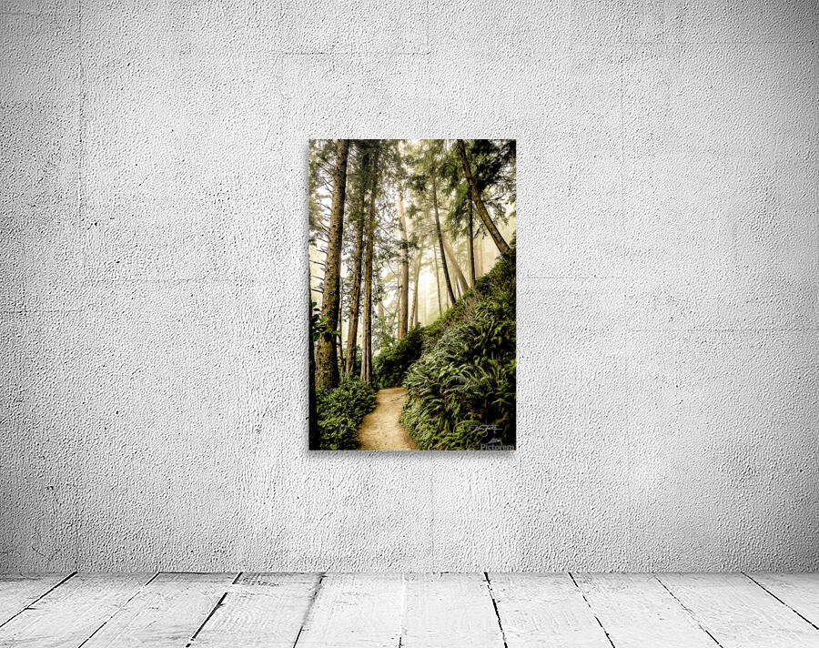 Fern Path Wall Preview