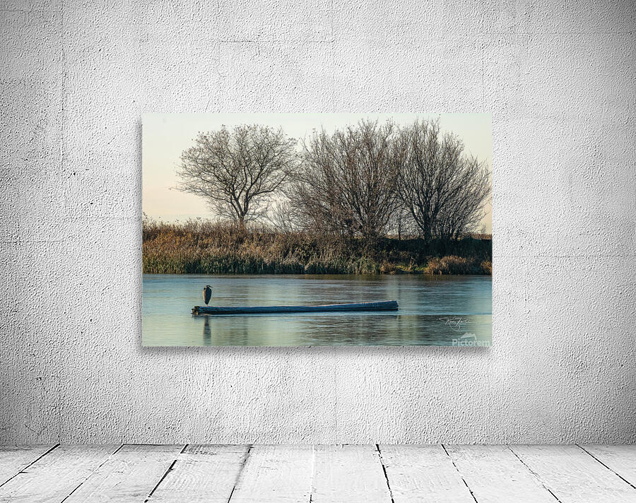 Iced Heron Wall Preview