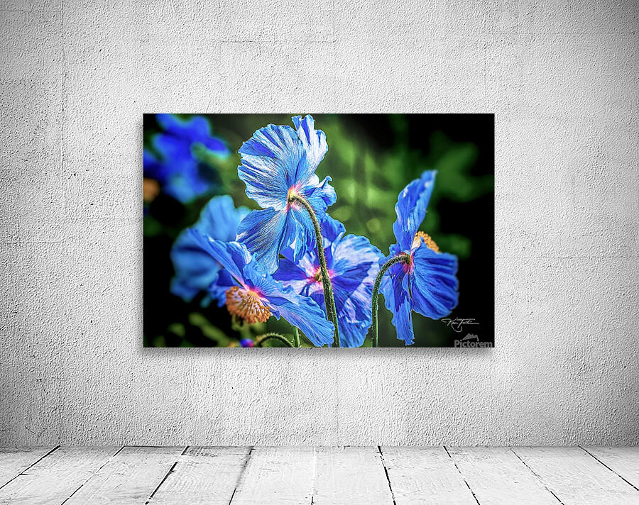 More Blue Wall Preview