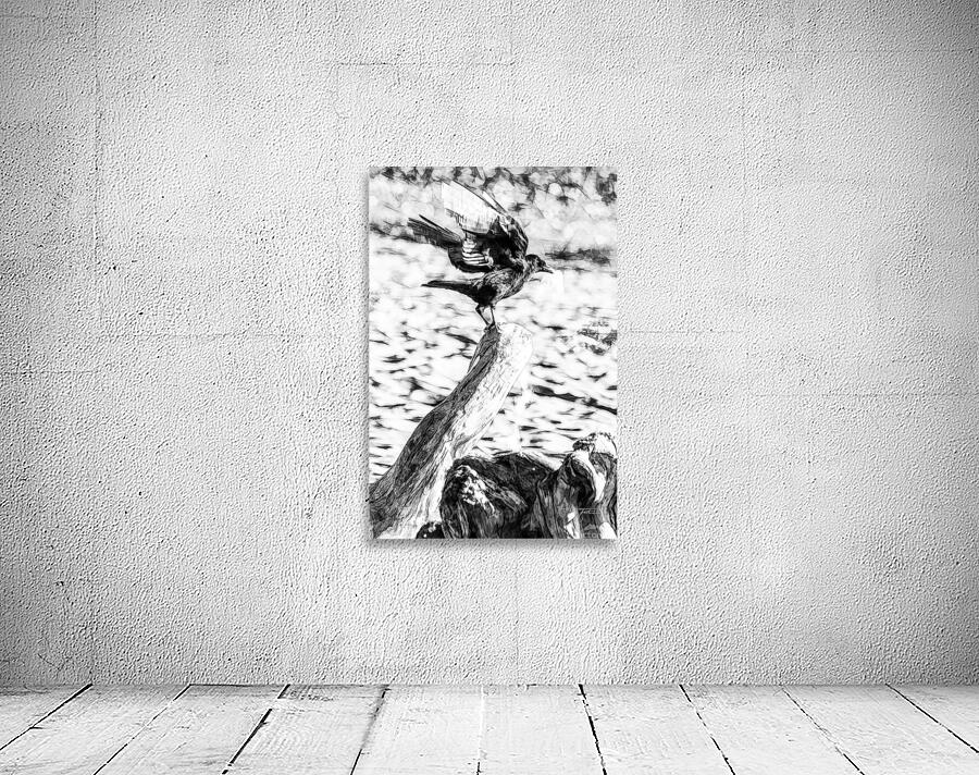 One Crow Wall Preview