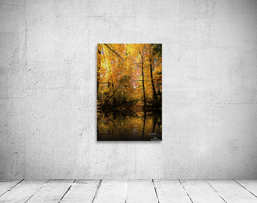 Bareness Wall Preview