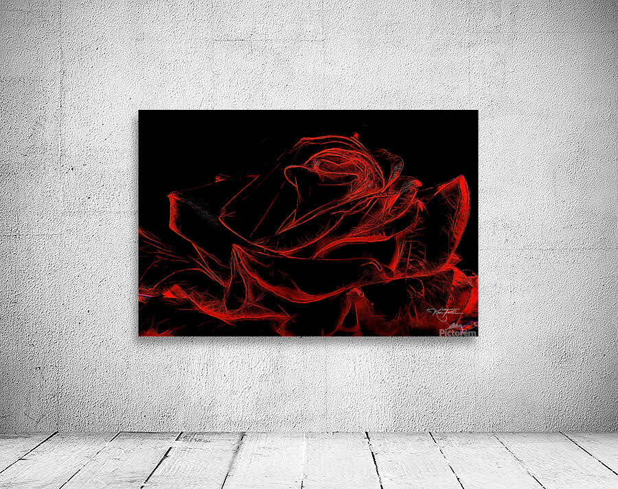 Dark is the Rose Wall Preview