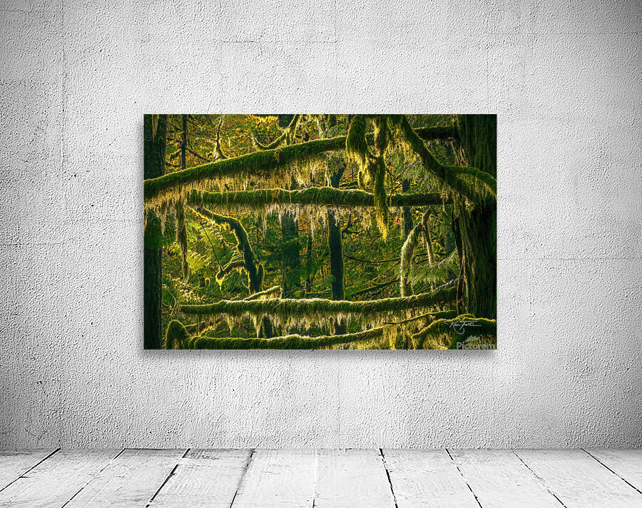 Hanging On Wall Preview