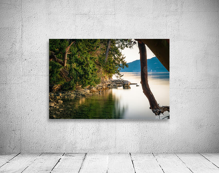 Night Heron Wall Preview