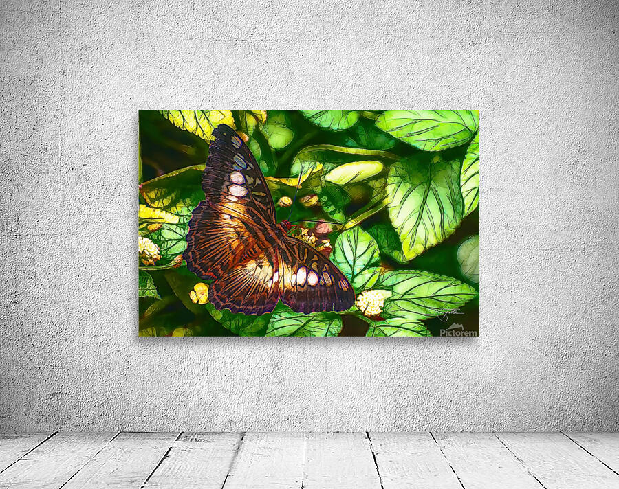 Spot Moth Wall Preview