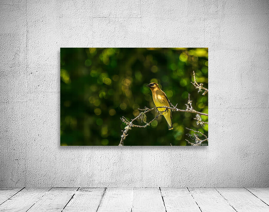 Something Over There Wall Preview