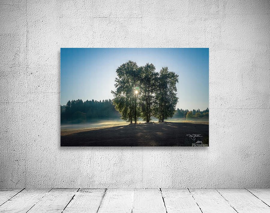 Three Trees Wall Preview