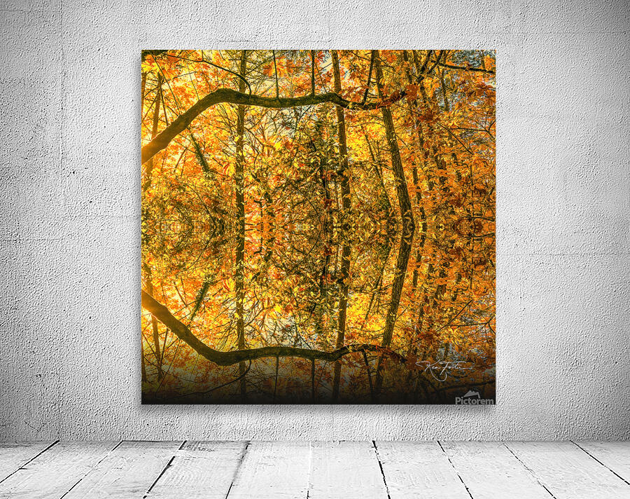 Branch and Sun Wall Preview