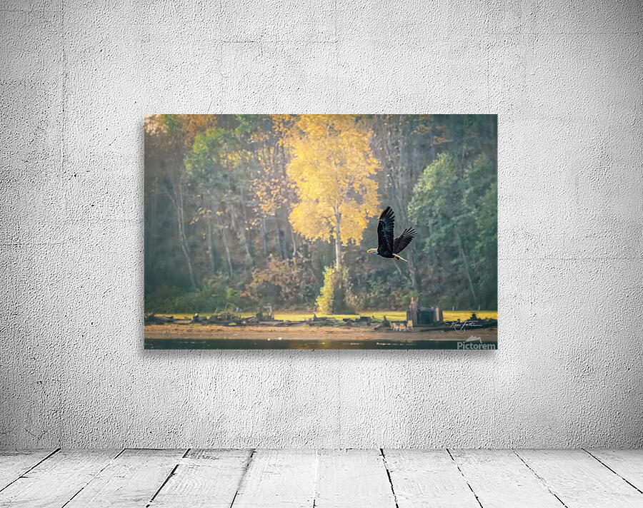 Island View Eagle Wall Preview