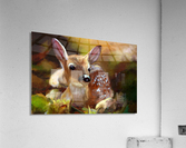 Contentment Acrylic Print