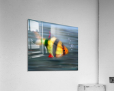 Blowing Bubbles Acrylic Print