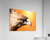 Eagle Acrylic Print