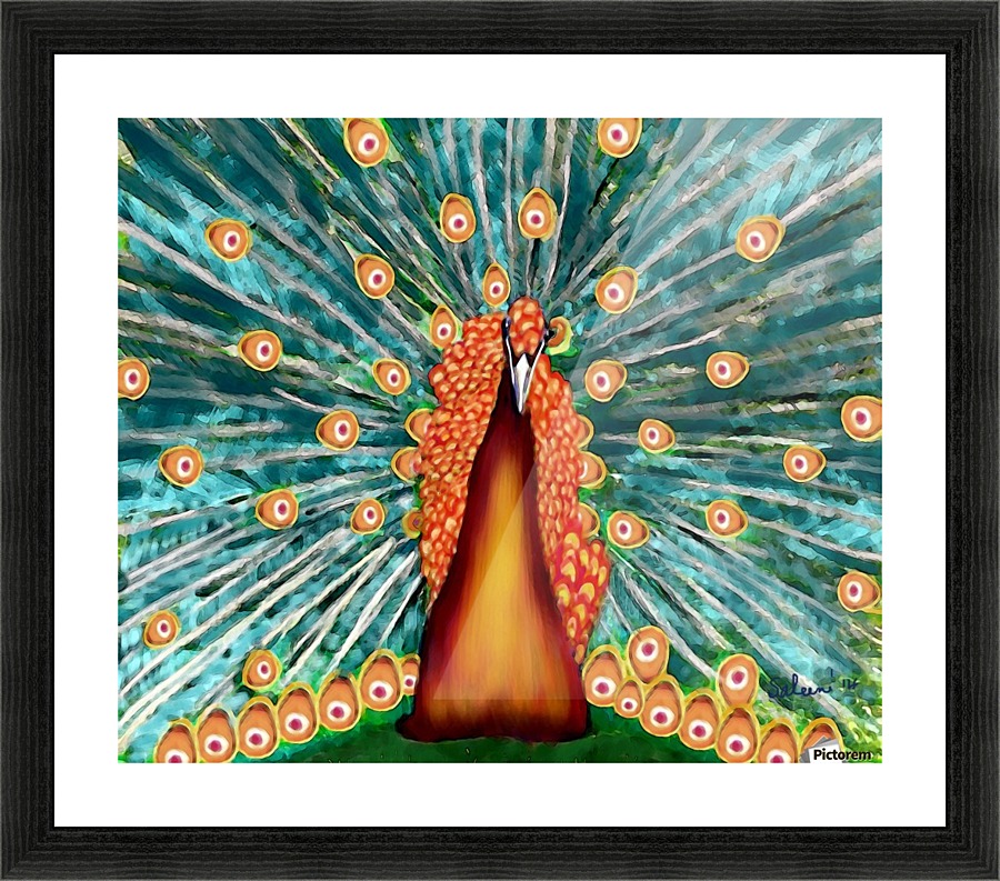 Peacock Picture Frame print