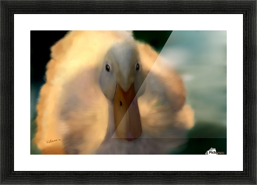 Fuzzy Duck Picture Frame print