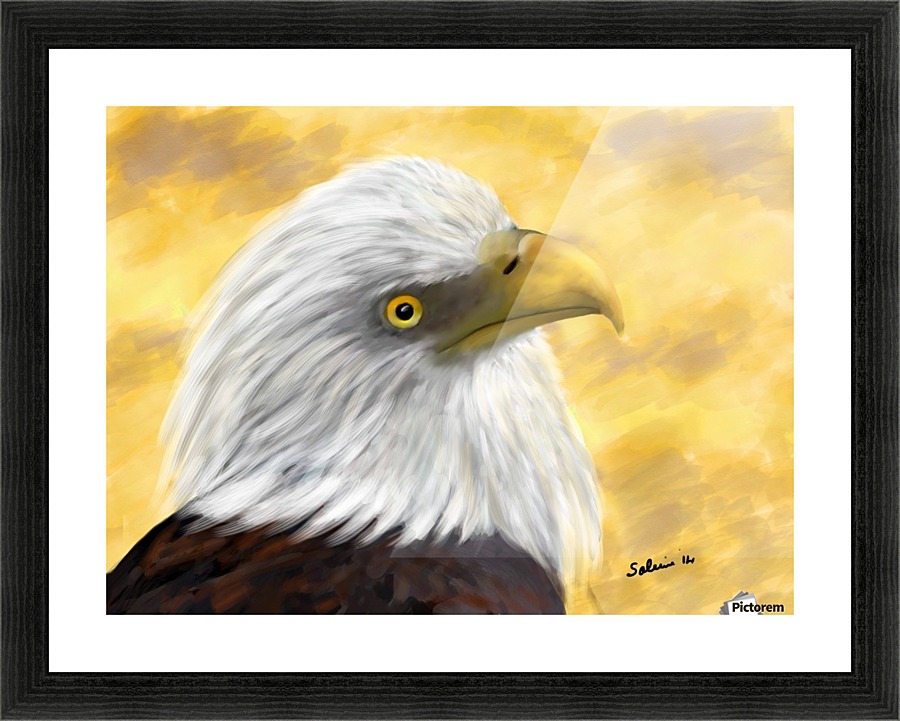 Proud Eagle Picture Frame print