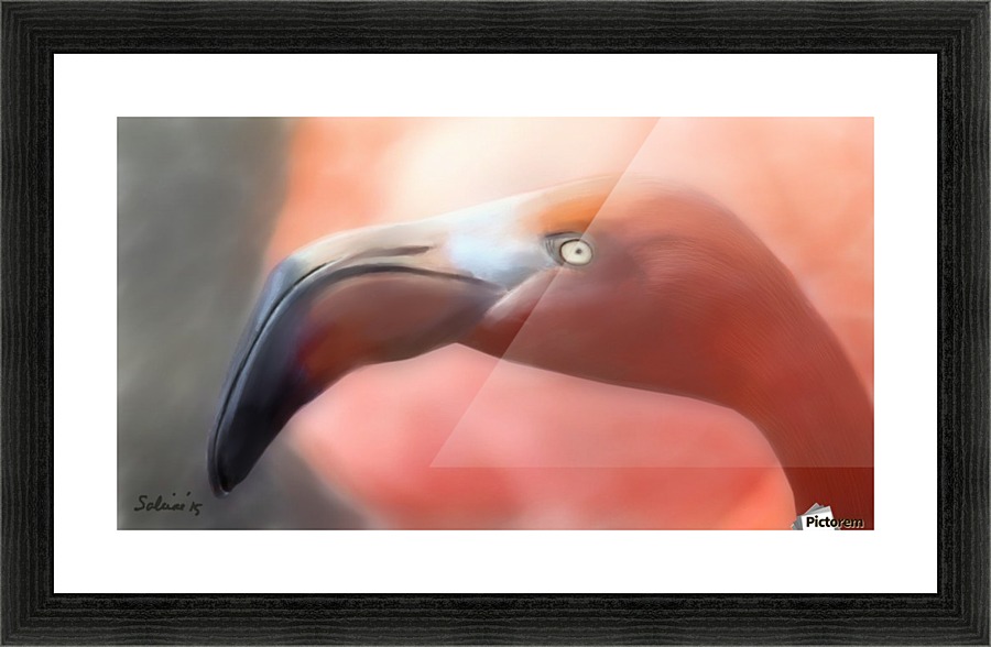 Flamingo Picture Frame print