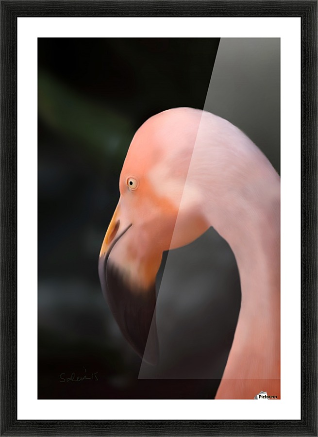 Flamingo Picture Frame print
