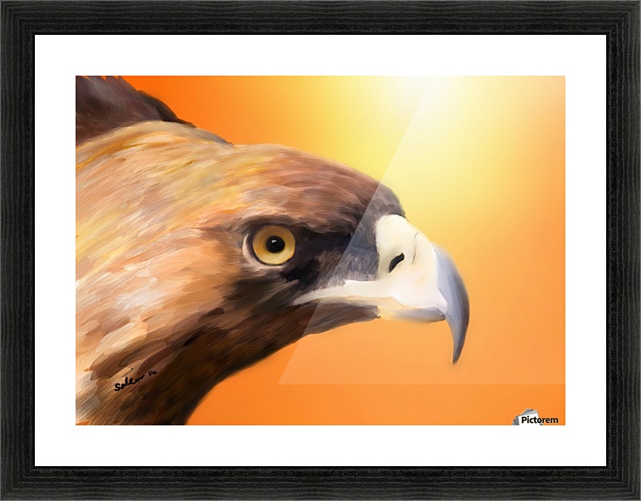 Eagle Picture Frame print