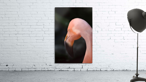 Flamingo Wall Preview
