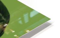 Fresh green HD Metal print