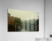 river trees park  Acrylic Print