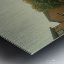 river trees park  Metal print