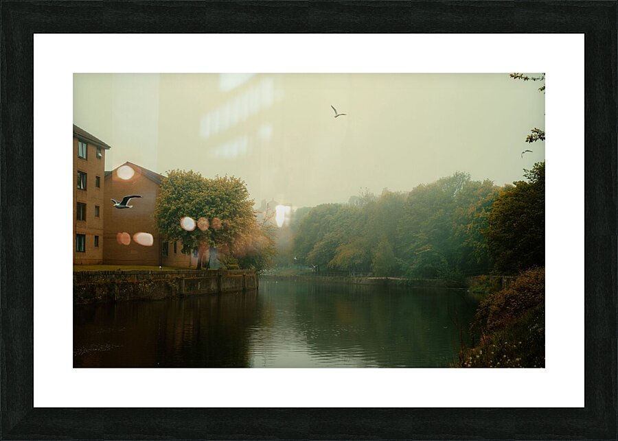river trees park  Picture Frame print