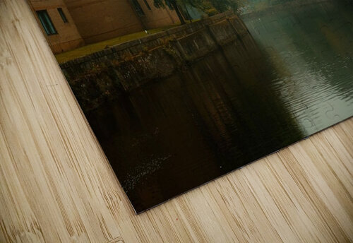 river trees park  Abdelwahab Khalil puzzle