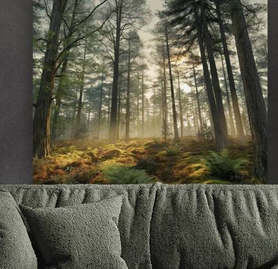 A serene late afternoon scene in a dense woodland by Abdelwahab Khalil