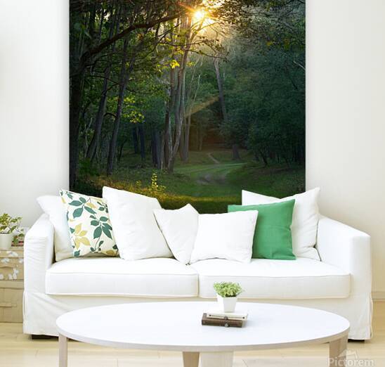 A conceptual painting depicting a sunrise in a magical strategy. The forest is tucked away with access to the sun between two clearings creating multiple options and an attractive blur. It contains clear light and clear colors for the beauty and tranquili by Abdelwahab Khalil