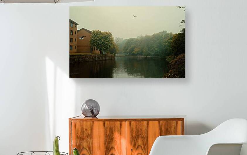 river trees park  by Abdelwahab Khalil