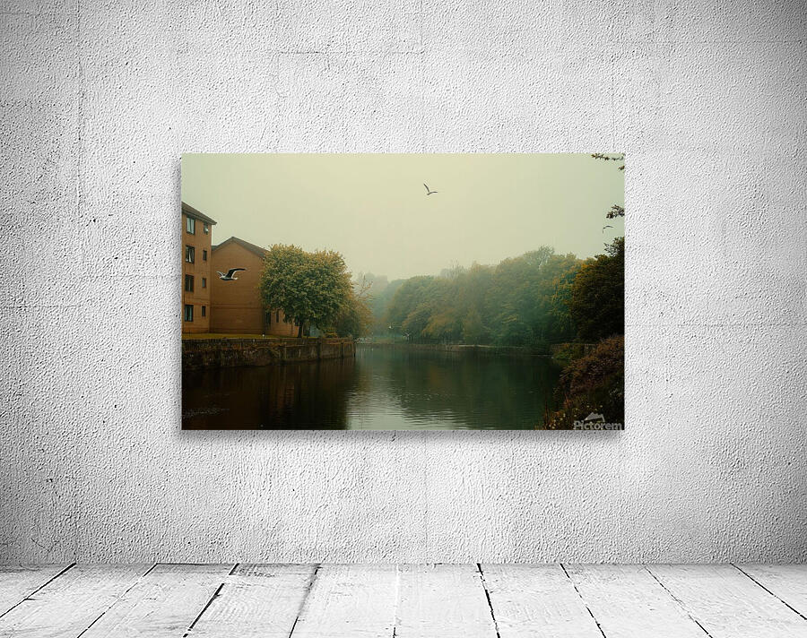 river trees park  Wall Preview