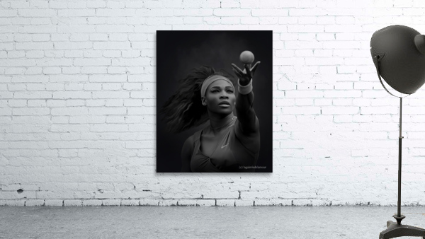 Serena Williams Wall Preview