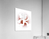 Felix the cat 41 Acrylic Print