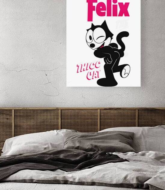 Felix the cat 50 by James B Mock