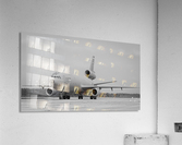 Big Wings Acrylic Print