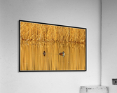 Golden Pond Acrylic Print