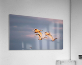 Theres a crowd  Acrylic Print